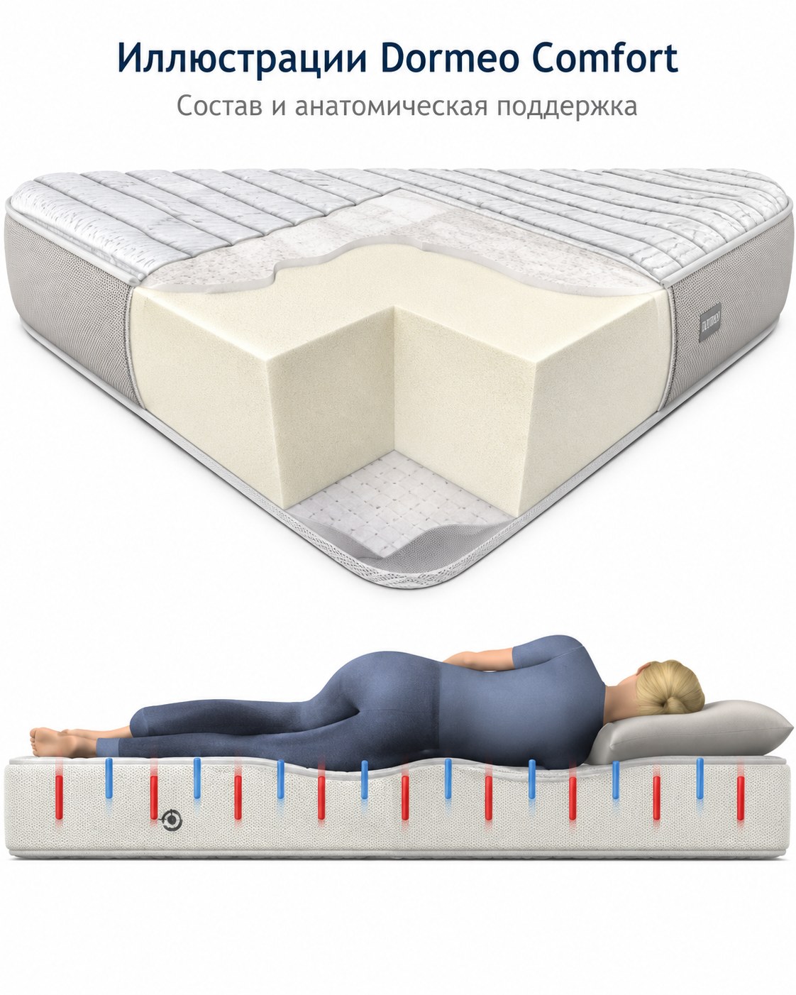 Иллюстрация состава и поддержки Dormeo Comfort