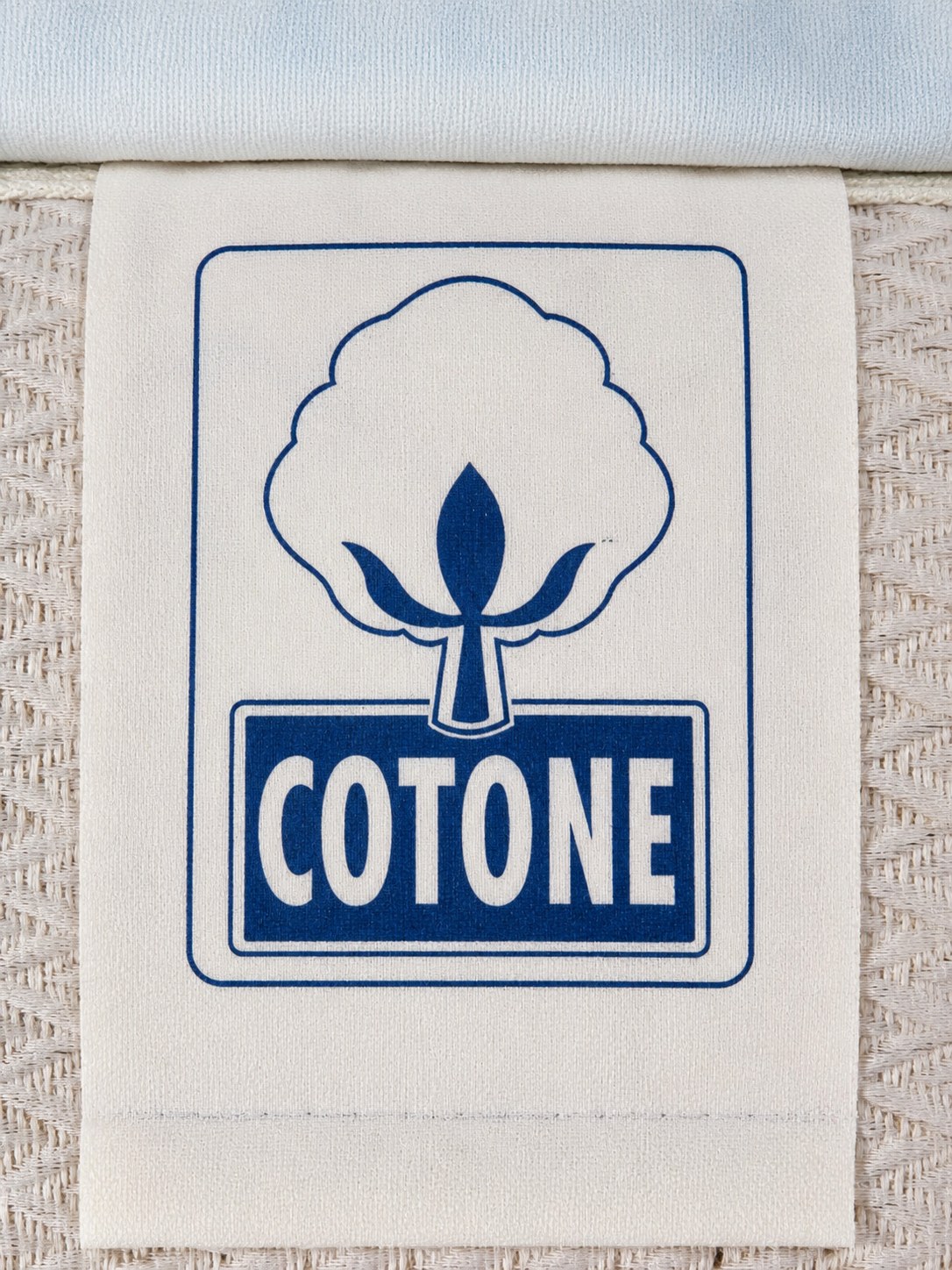 Cotone